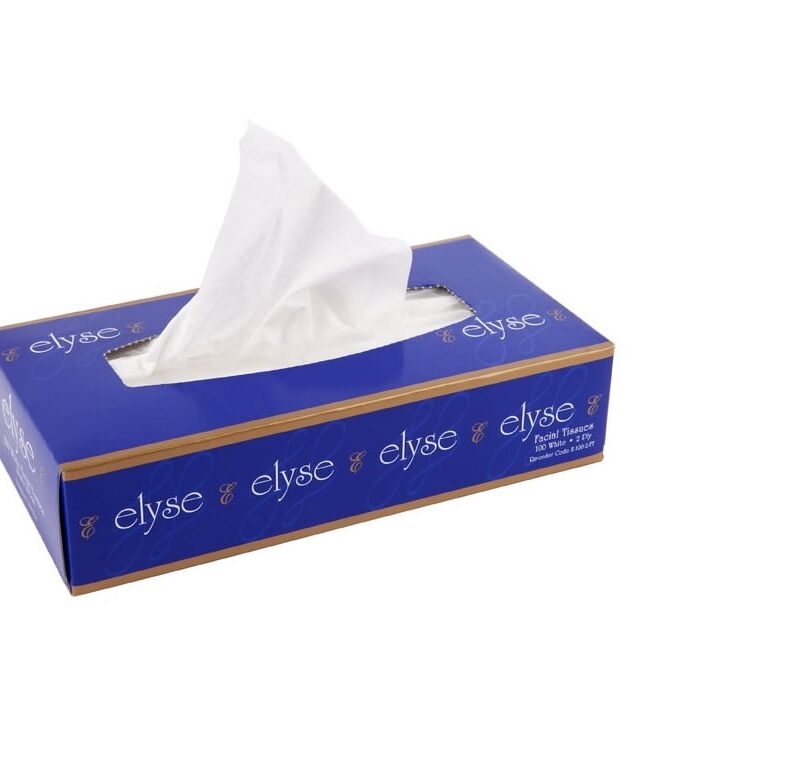 Elyse 2 Ply Facial Tissues - 48 boxes