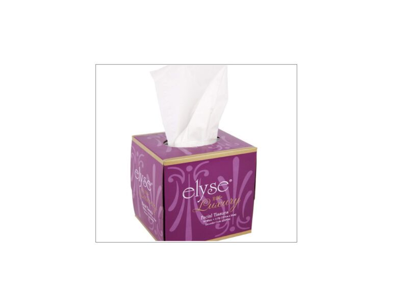 24 Facial Tissue Boxes  Luxury 2ply Cube Box 90 Sheets Per Box